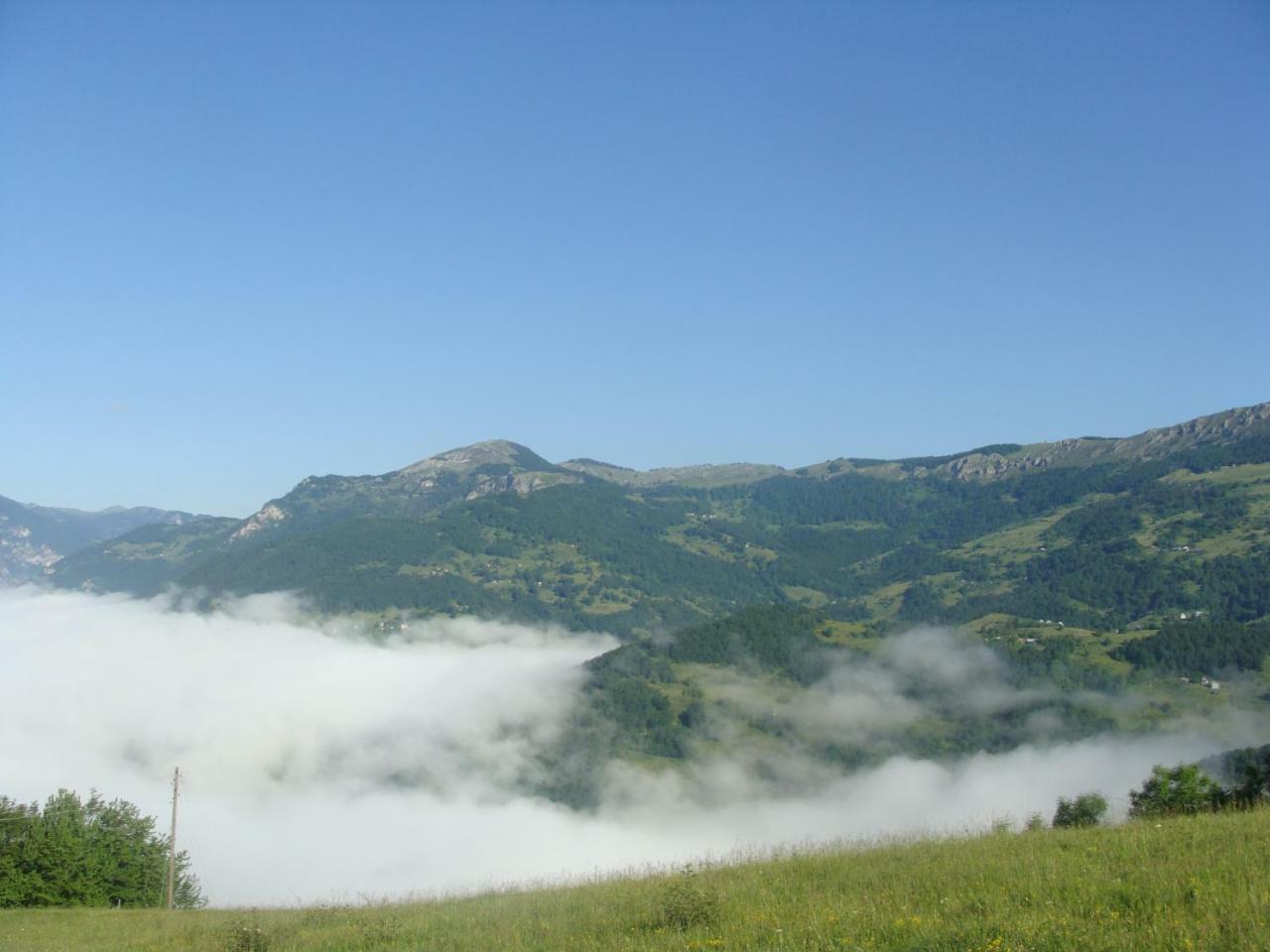 Taramour Cottages. Mojkovac Eksteriør billede